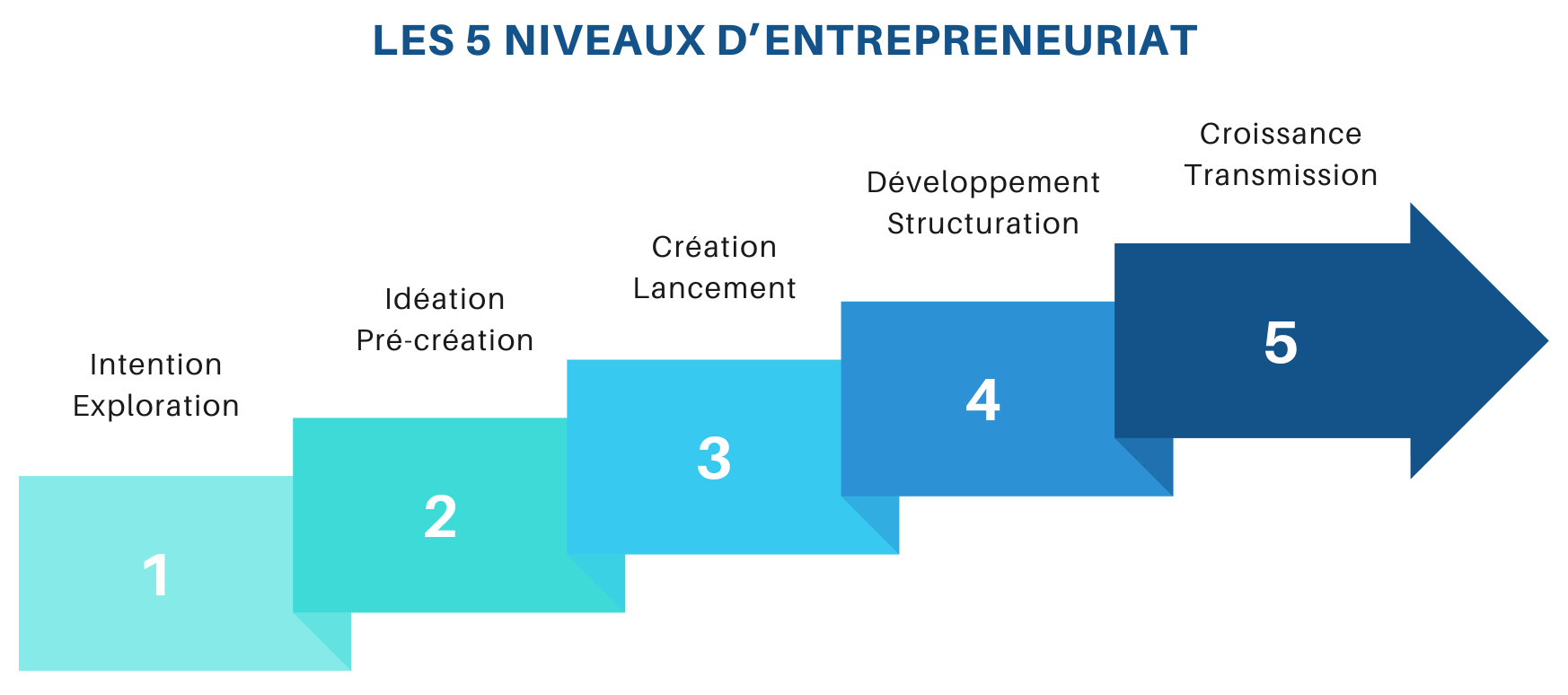 Schéma en cinq étapes illustrant les niveaux d’entrepreneuriat : intention et exploration, idéation et pré-création, création et lancement, développement et structuration, puis croissance et transmission.